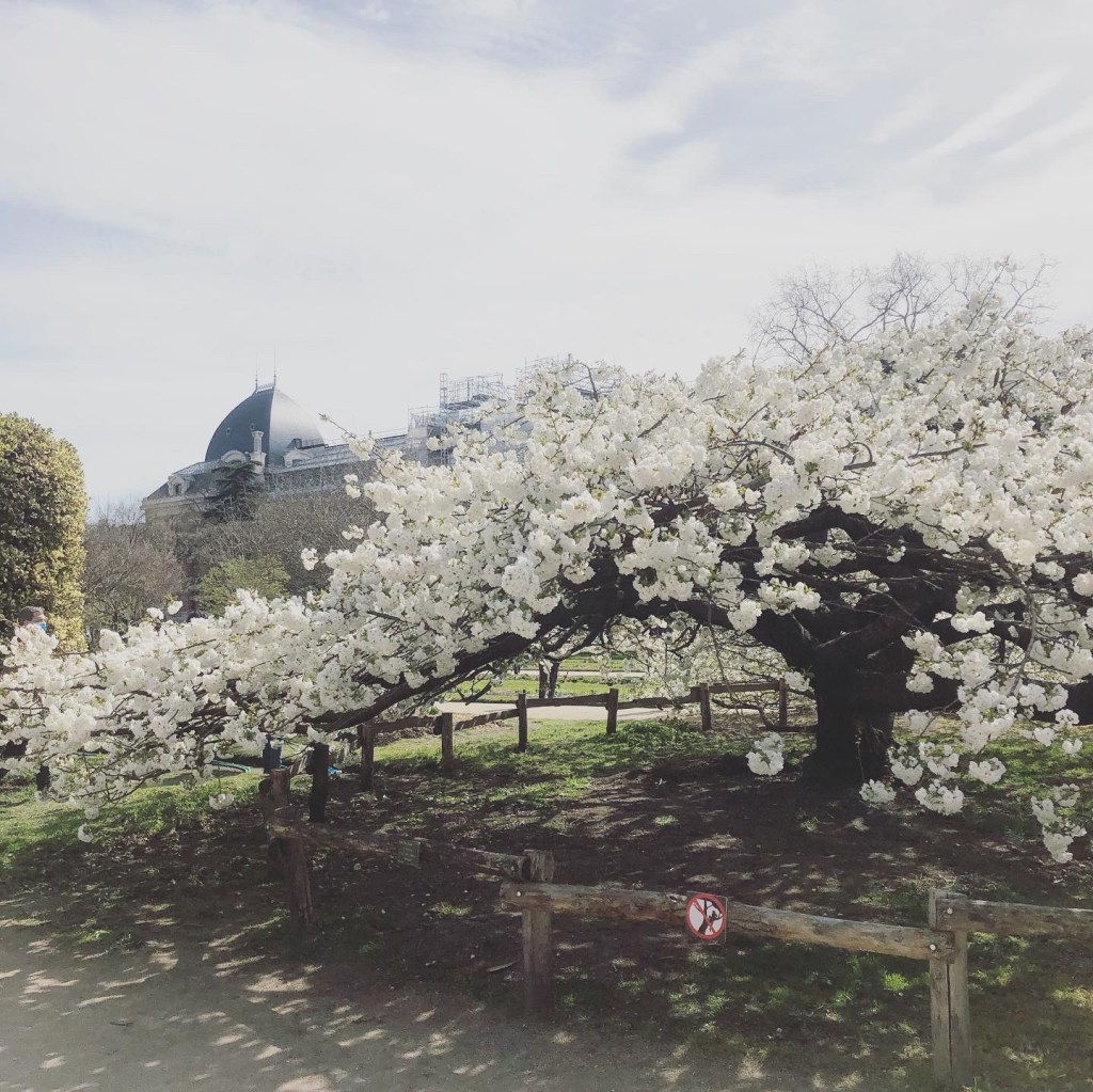 The Year That Wasn’t